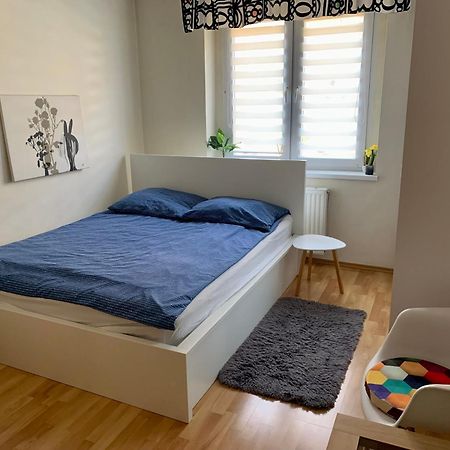 Apartament Joanna Parter Blisko Onkologii I Strefy Ekonomicznej Ґлівіце Екстер'єр фото
