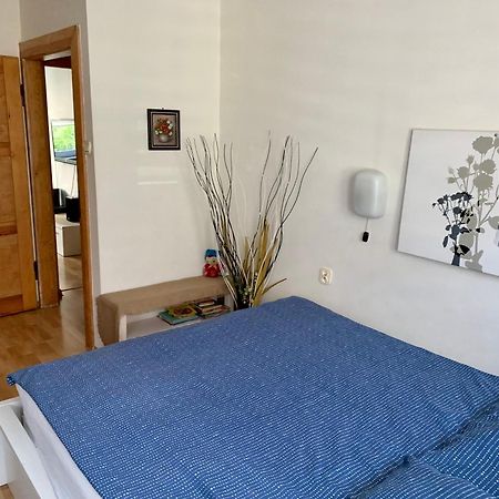 Apartament Joanna Parter Blisko Onkologii I Strefy Ekonomicznej Ґлівіце Екстер'єр фото